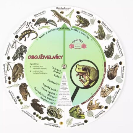 Identifikačný kruh - Obojživelníky