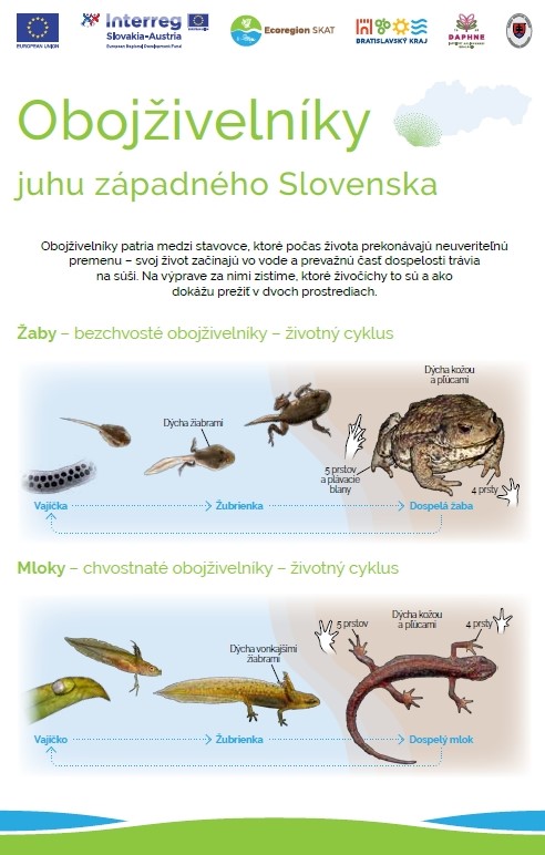 Obojživelníky juhu západného Slovenska / Amphibien der Südwestslowakei / Amphibians of Southwestern Slovakia